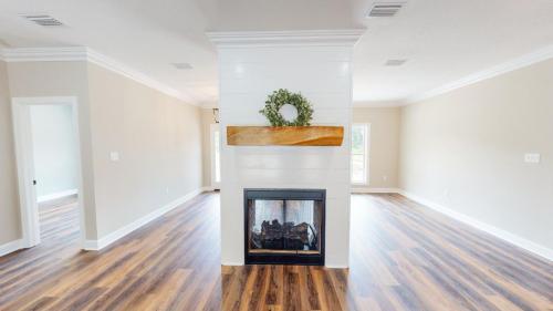 462-Talmadge-Purview-Rd-Fireplace